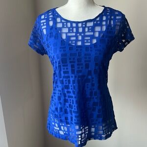 INC International Concepts Sheer Top